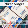 Pfizer Viagra kamagra1